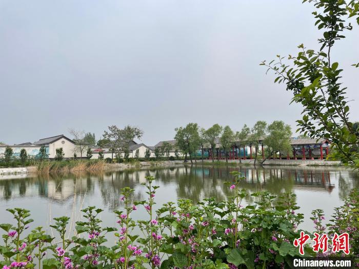 山东省齐河县大徐村原有池塘经过改造既有“风景”又得“钱景”。　齐河县委宣传部供图