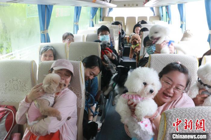 图为宠物主带着宠物跟团去旅游。　林馨 摄