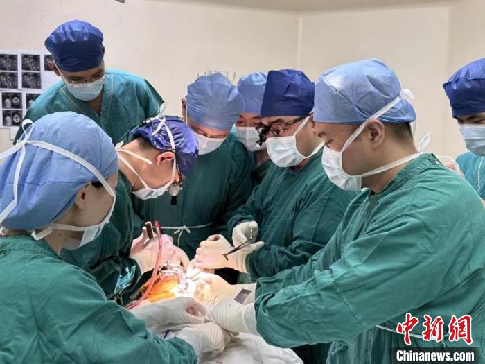 意外跌倒竹子插入“生命中枢”上海专家成功“扫雷”救回老人性命